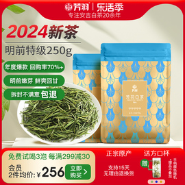 2024年新茶芳羽安吉白茶，正宗明前特级嫩芽，250g散装茶叶高山绿茶