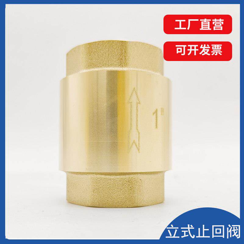 黄铜止回阀弹簧立式止逆阀水管螺纹阀门4分6分平装水阀止逆阀锻造