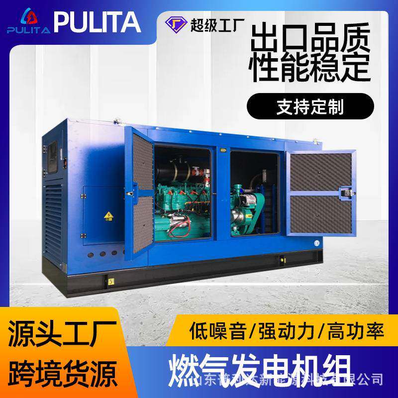 100kW天然气发电机组80V三相发电机生产厂家无刷电机LPG发电机组