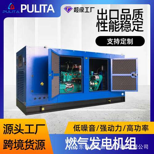100kW天然气发电机组380V三相发电机生产厂家无刷电机LPG发电机组