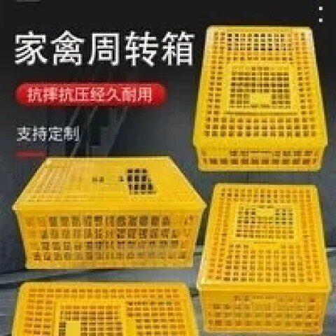 家禽运输筐,周转筐塑料筐,鸡筐,鸡笼,兔笼,笼周转箱鸽子兔子鸭筐