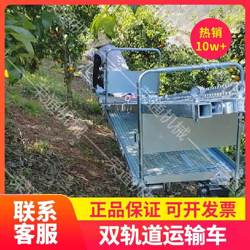 502农用轨道搬运农作移物果蔬动装卸索道动自搬运式小型双轨运车