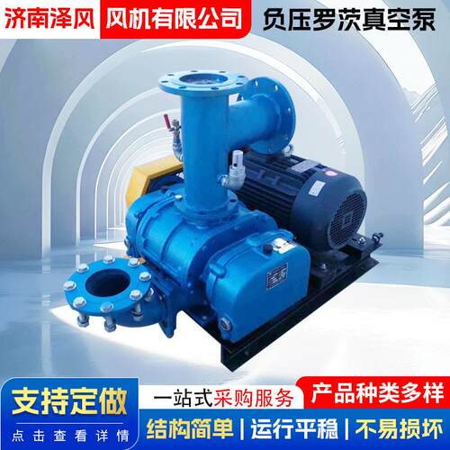 电动抽气真空泵罗茨鼓风机精密大吸力低噪音负压罗茨真空泵