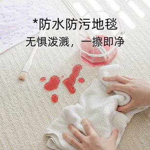 水晶梦 卧室轻奢高级感免洗可擦 白月光客厅地毯防水防污 2025新款