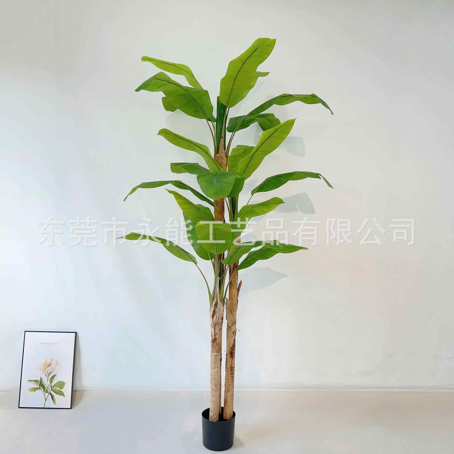 仿真芭蕉树绿落仿地树盆植栽室内装饰厅真芭Y-4客蕉植物旅人蕉香