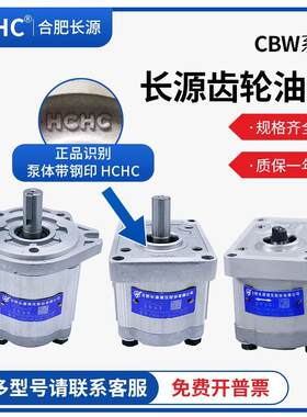 齿轮泵CBW-F04/06/10/16/20-CLP电机泵套联轴器
