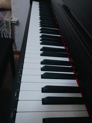 珠江艾茉森V03电钢琴怎么样入手彻底让人失望了是吗