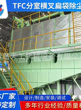 QFD分室横叉扁袋除尘器反吹空气净化横插扁带除尘器TFC扁袋除尘器