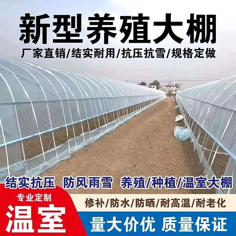 养牛种植抢完棚家用,抢99998专业05】.379恢复件元棚【元399温室