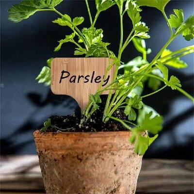 T Type Wooded Plant Labels Eco-Friendly Garden Bamboo Tags