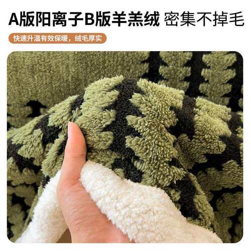珊瑚绒毛毯被子冬季加厚羊羔法兰绒毯保暖床单铺床毯子单人床上用