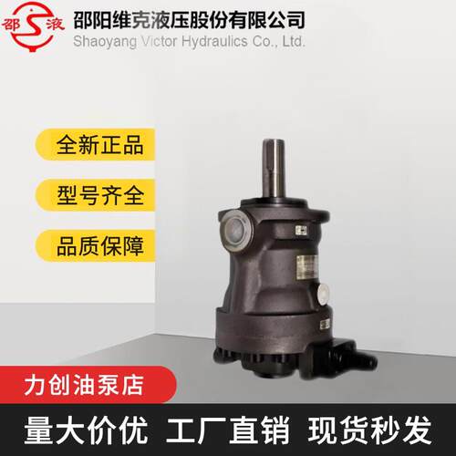 邵阳维克液压10/25/40/63/80/160/250YCY14-1B轴向柱塞泵自动变量