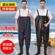 防水衣服水鞋 带雨鞋 半身连身男皮叉捕抓鱼全身加厚 水库雨裤 下水裤