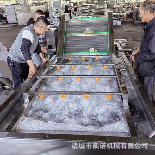 大姜泥沙气泡清洗机果蔬萝卜高压喷淋清洗设备商用毛辊清洗机