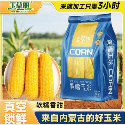 玉草田黄糯玉米1800g袋装内蒙古玉米真空包装锁鲜鲜玉米棒早餐