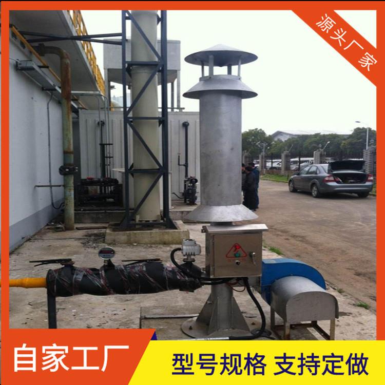 小型沼气火炬沼气燃烧设备外燃式火炬操作简单 - 实物图