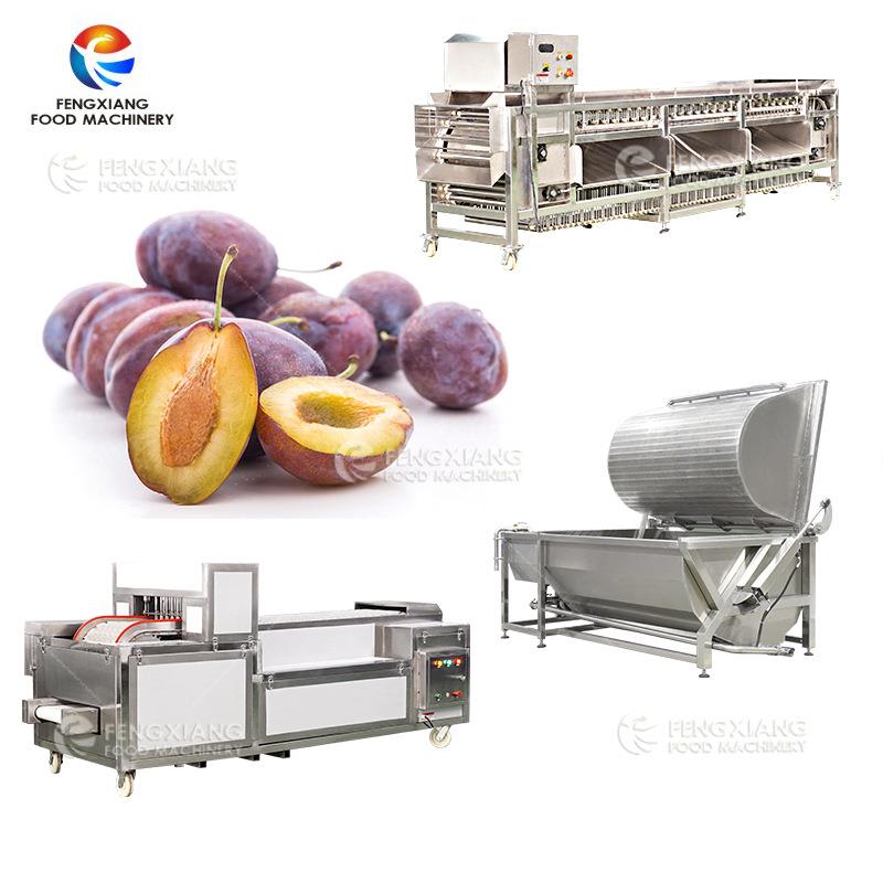 高产量西梅去核翻滚式清洗不伤果肉生产设备
