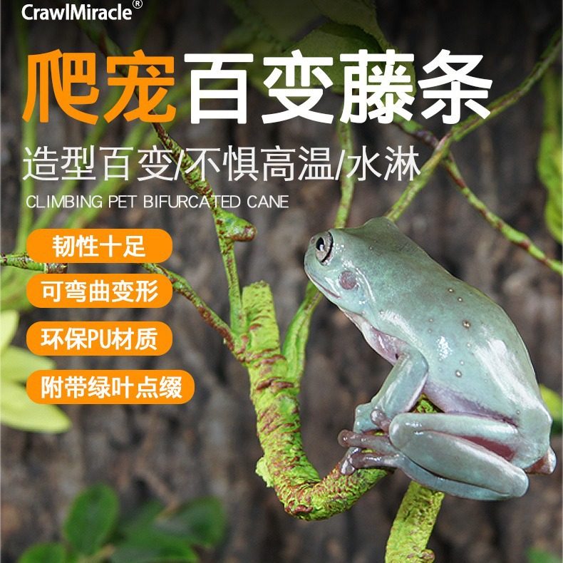 爬虫缸树藤树枝蜥蜴寄居蟹陆生攀爬造景用品爬宠仿真植物藤条装饰,宠物/宠物食品及用品,造景/装饰,淘宝优惠券,粉丝福利购,淘宝优惠卷