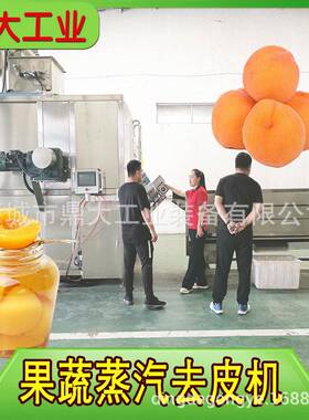 食品级黄桃去皮机无需剂耐腐蚀耐温适应连续加工环境