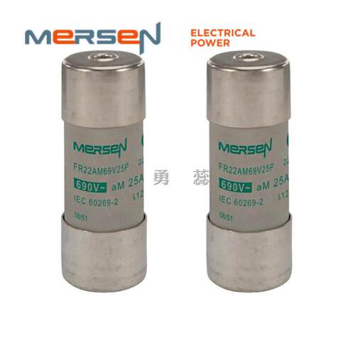 保险丝熔断器 FR22AM69V25P FR22AM69V32P FR22AM69V40P