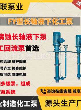 中联泵业直销FY型立式液下泵 耐腐蚀化工泵酸料浆输送泵FY100-315