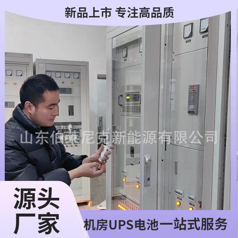 免维护直流电源屏小型柜式 定24AH 电池220V直流屏壁挂式直流屏