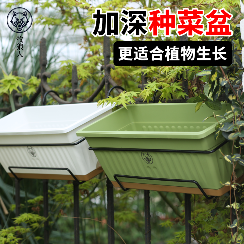 阳台种菜盆长方形家庭蔬菜草莓盆栽专用花盆塑料种植箱挂架