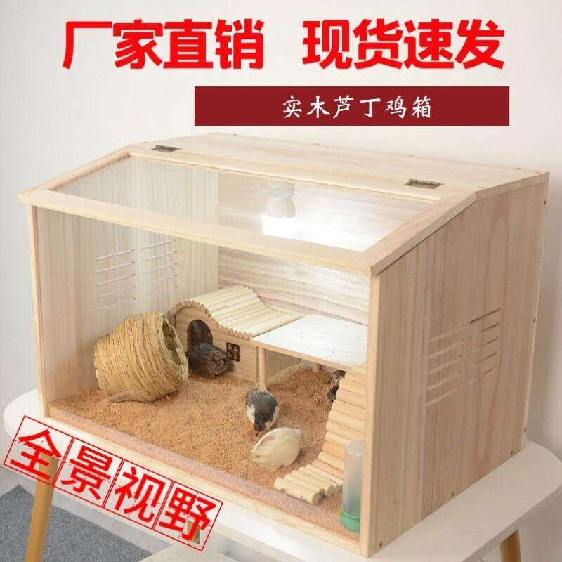 金丝熊蟋蟀陆龟饲养箱变色龙笼子爬虫保温箱仓鼠鬃狮蜥冬季爬宠箱