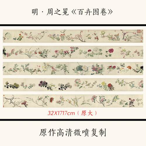 1:1 明 周之冕《百卉图卷》国画花卉长卷 水墨画高清复制临摹画稿