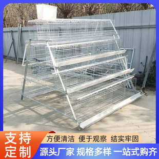 三层四层阶梯式蛋鸡笼供应出口蛋鸡养殖笼 阶梯式蛋鸡笼子全套