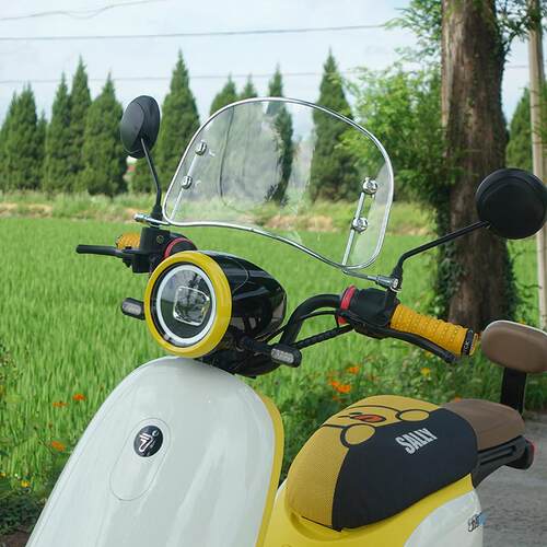适配九号A2z/Q30C/Q90/Q85C/FZ3/Q70C电动车复古前挡风板改装配件