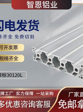 智恩铝型材30120 欧标铝材30120大型流水线机械框架 工作台设备