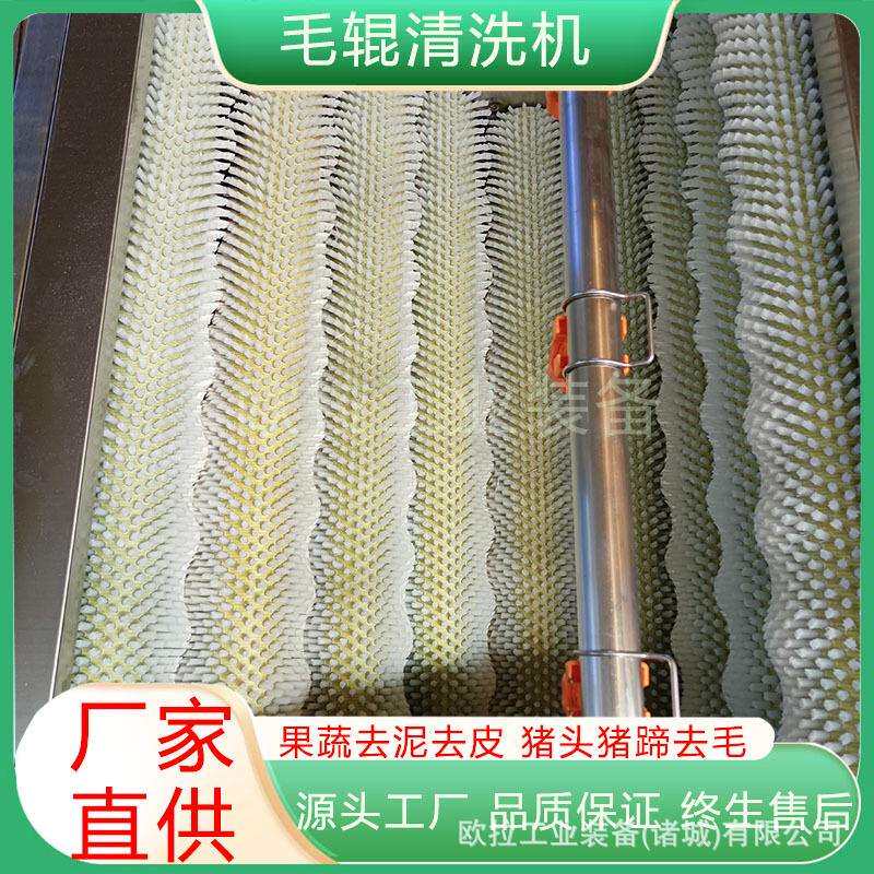 毛刷地瓜去皮清洗机 全自动花生清洗机 榨菜波浪毛辊去泥清洗设备