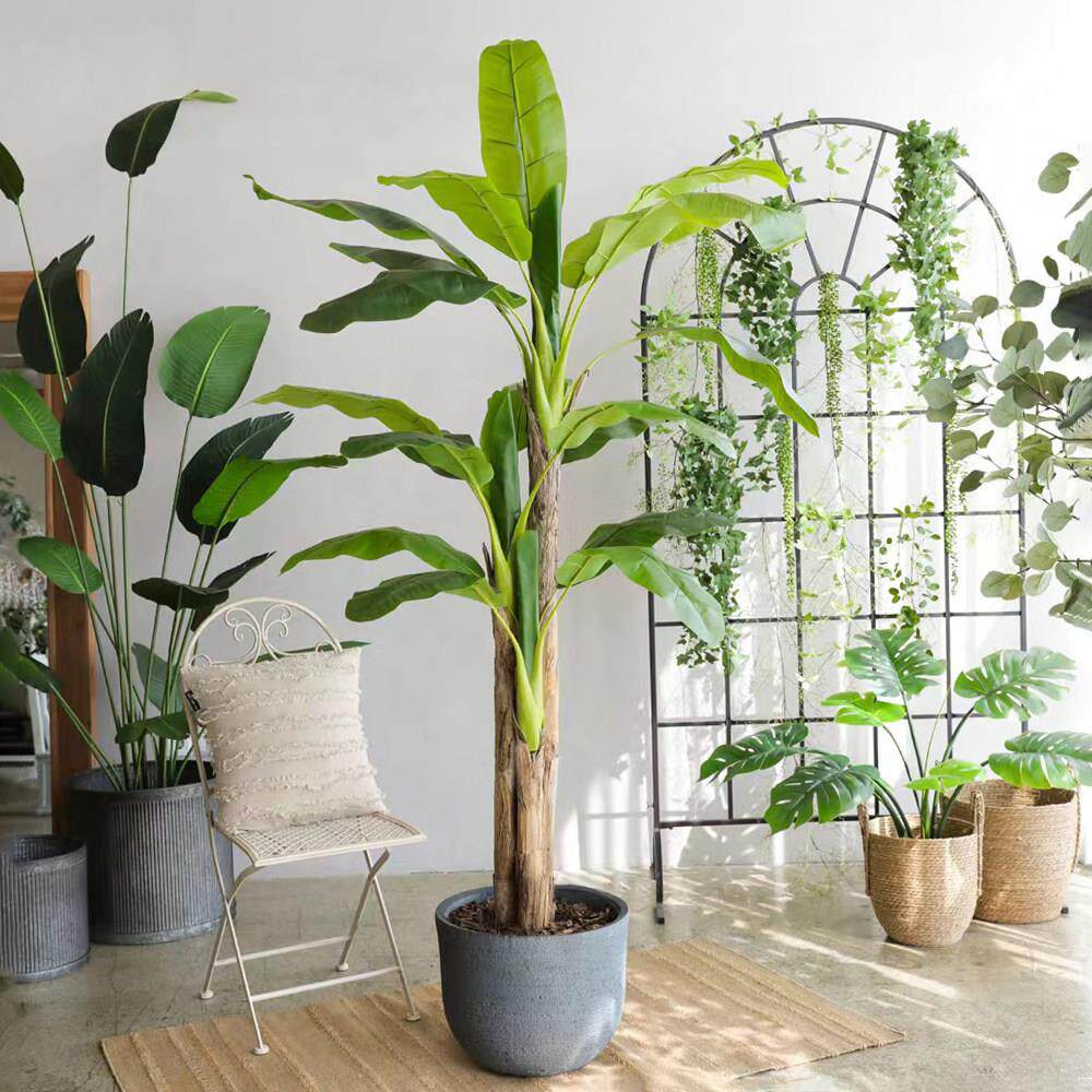 仿真香蕉树室内落地绿植盆栽 橱窗庭院阳台造景装饰 Tendliving出