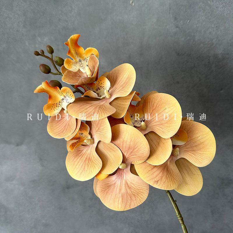 蝴蝶兰仿真花摆件客厅桌面玄关花卉绿植假花摆设装饰插花轻奢高档,鲜花速递/花卉仿真/绿植园艺,仿真花,淘宝优惠券,粉丝福利购,淘宝优惠卷