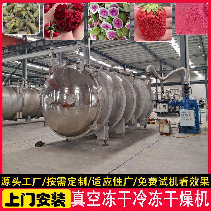 冻干水果蓝莓黑莓智能设备豌豆蔬菜冻干机长时间保存冷冻干燥机