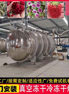 冻干水果蓝莓黑莓智能设备豌豆蔬菜冻干机长时间保存冷冻干燥机