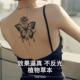 草本蝴蝶玫瑰纹身贴后背防水仿真持久女性感大腿大图半永久洗不掉
