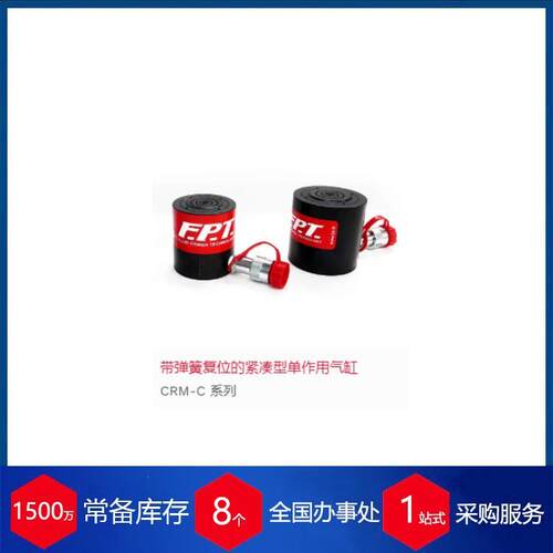 意大利 FPT 气缸