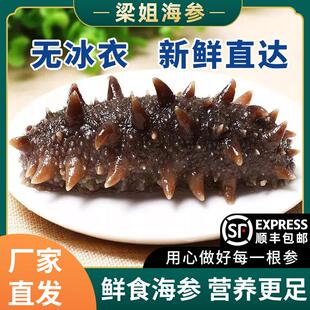 辽宁大连即食海参包装袋一斤开 袋即食真空袋独立礼盒礼品野生刺