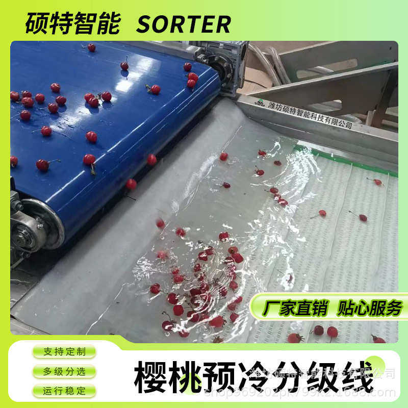樱桃清洗风干分拣线 樱珠直径无损分选机 大型预冷选果分级设备,清洗/食品/商业设备,选果机/分选机,淘宝优惠券,粉丝福利购,淘宝优惠卷