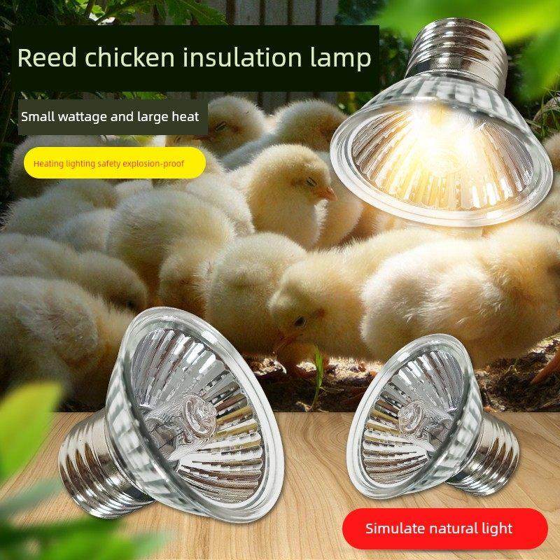 芦丁鸡保温灯小鸡育雏加热灯爬宠太阳取暖灯50W宠物乌龟晒背鹦鹉,家装灯饰光源,LED球泡灯,淘宝优惠券,粉丝福利购,淘宝优惠卷
