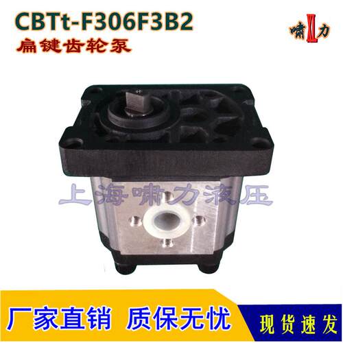 CBTt-F316F3B2液压齿轮泵啸力扁键高压泵CBTt-F306F3B2