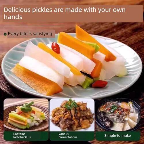 泡菜发酵菌家用酸洗萝卜酸洗豆发酵菌四川泡菜乳酸菌发酵粉