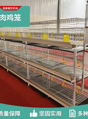 肉鸡笼养殖场鸡笼鸡笼多层叠式自动化养殖设备三层两门肉鸡笼