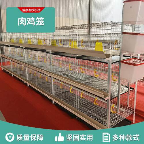 肉鸡笼养殖场家禽肉鸡笼设备清粪托盘鸡笼金属版安装肉鸡笼具