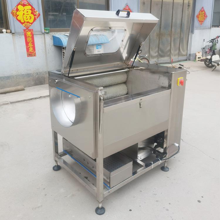 蔬去皮KOD机新加厚全自头动鲜姜芋莲款藕萝卜脱皮机毛辊果蔬清果