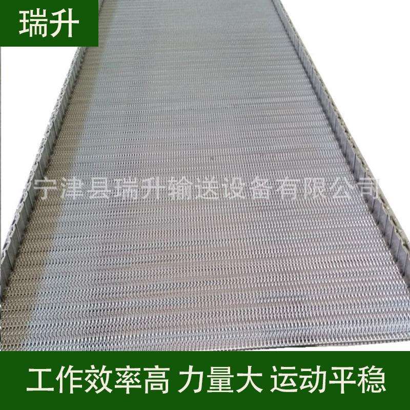 大量供应不锈钢链网双旋网带果蔬清洗网带