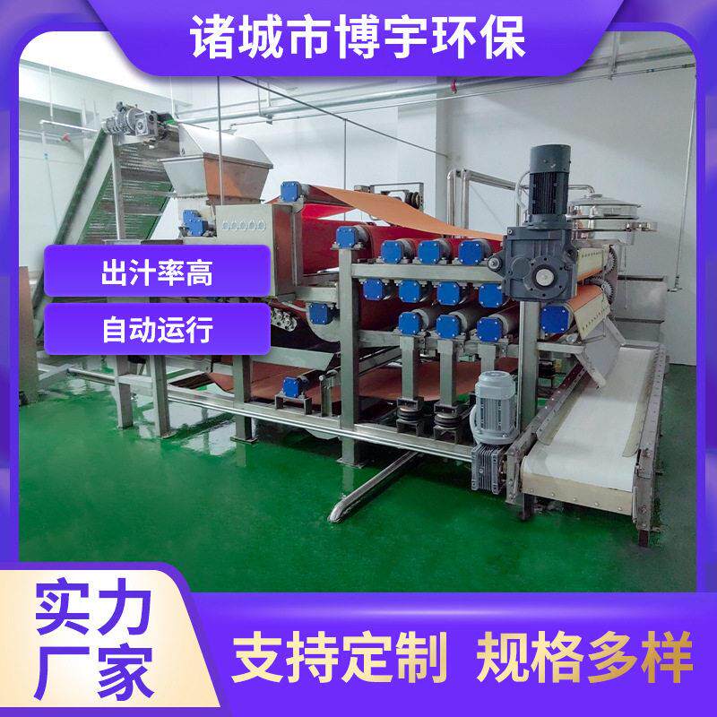 博宇工业大型水果汁加工设备 葡萄桑葚蓝莓草莓清洗破碎榨汁机器