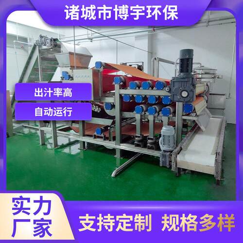 博宇工业大型水果汁加工设备葡萄桑葚蓝莓草莓清洗破碎榨汁机器